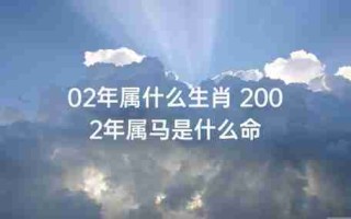 02年的今年多大了（02年的今年多大了,属什么生肖）