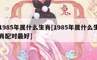 85年属什么生肖的简单介绍