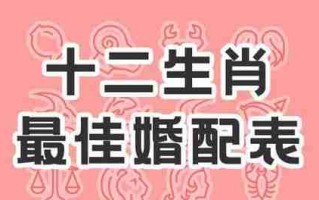 属鼠的最佳婚配属相：探索最合适的生肖组合