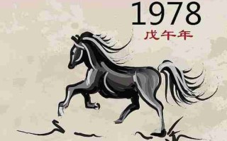 1978年属什么（1978年属什么命）