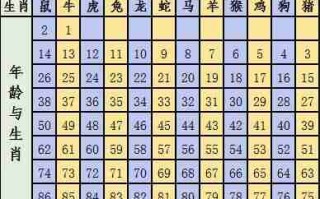 今年是什么生肖年（美国今年是什么生肖年）