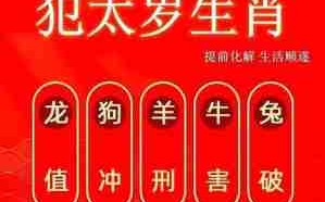 2024什么年属什么年（2025什么年属什么年）