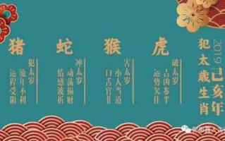 2019年是什么生肖（2019年是什么生肖犯太岁）