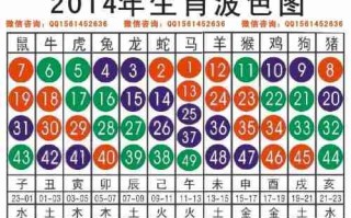 2014什么生肖（2014什么生肖好）