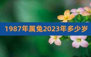 属兔的年份（属兔的年份分别是哪些年）