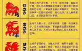 2024的属相是什么生肖呢（2024的属相是什么生肖呢女宝宝）