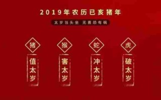 94年属什么今年多大（94年属什么今年多大周岁）