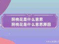 阴桃花是什么意思（阴桃花是什么意思 原因）