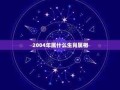 2007年属什么生肖（2004年属什么生肖）