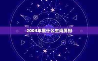 2007年属什么生肖（2004年属什么生肖）