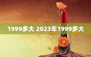 1999年多大了（1999年多大了2023）