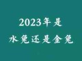 兔年是什么年（2023兔年是什么年癸卯）