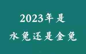 兔年是什么年（2023兔年是什么年癸卯）