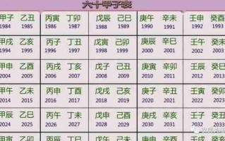 明年是什么年（明年是什么年辰）