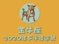 金牛座2020年健康运势如何（金牛座2020年运势及运程每月运程）