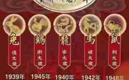 2023年是什么年生肖（2023年是什么年生肖表）