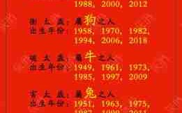 2013年是什么生肖年（2024年12生肖运势）