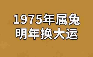 1975年属什么的简单介绍