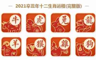 2021什么年（2021什么年属什么生肖年）