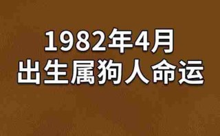 1982年属什么（1982年属什么命）