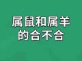 属羊的和什么属相最配、相克（属羊的和什么属相最配,相克羊）