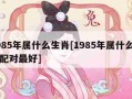 关于85年属什么的信息