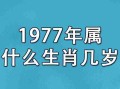 1970年属什么生肖（1977年属什么生肖）