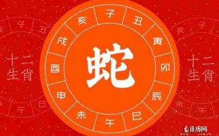 今年什么生肖年（今年什么生肖年2026）