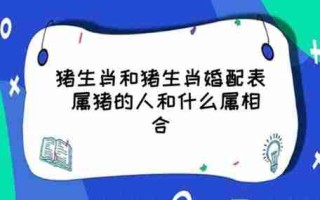 属猪男的最佳婚配属相：探索最合适的生肖组合