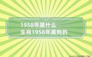 1958年属什么（1958年属什么命）