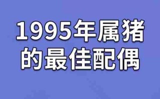 1995年属于什么生肖？探索1995年出生人的生肖特点