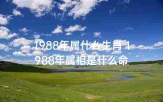 1988年属什么生肖的命？探索1988年出生人的生肖特点