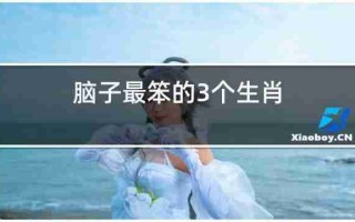 脑子最笨的3个生肖